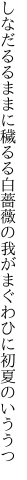 しなだるるままに穢るる白薔薇の 我がまぐわひに初夏のいううつ