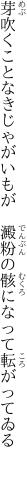 芽吹くことなきじゃがいもが  澱粉の骸になって転がってゐる 