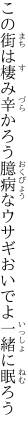 この街は棲み辛かろう 臆病なウサギおいでよ一緒に眠ろう