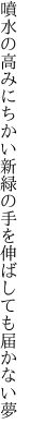 噴水の高みにちかい新緑の 手を伸ばしても届かない夢