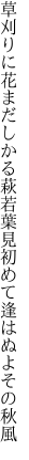 草刈りに花まだしかる萩若葉 見初めて逢はぬよその秋風