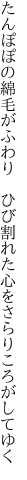 たんぽぽの綿毛がふわり　ひび割れた 心をさらりころがしてゆく