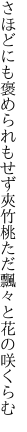 さほどにも褒められもせず夾竹桃 ただ飄々と花の咲くらむ