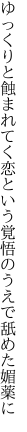 ゆっくりと蝕まれてく恋という 覚悟のうえで舐めた媚薬に