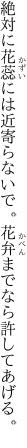 絶対に花蕊には近寄らないで。 花弁までなら許してあげる。