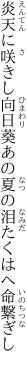 炎天に咲きし向日葵あの夏の 泪たくはへ命繋ぎし