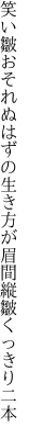 笑い皺おそれぬはずの生き方が 眉間縦皺くっきり二本