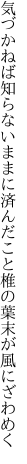 気づかねば知らないままに済んだこと 椎の葉末が風にざわめく