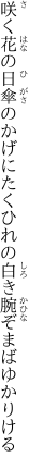 咲く花の日傘のかげにたくひれの 白き腕ぞまばゆかりける