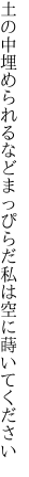 土の中埋められるなどまっぴらだ 私は空に蒔いてください