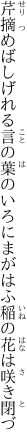 芹摘めばしげれる言の葉のいろに まがはふ稲の花は咲き閉づ