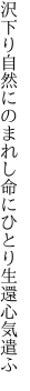 沢下り自然にのまれし命に ひとり生還心気遣ふ