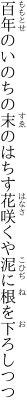 百年のいのちの末のはちす花 咲くや泥に根を下ろしつつ