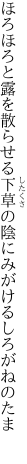 ほろほろと露を散らせる下草の 陰にみがけるしろがねのたま 