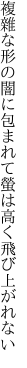 複雜な形の闇に包まれて 螢は高く飛び上がれない