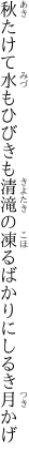 秋たけて水もひびきも清滝の 凍るばかりにしるき月かげ