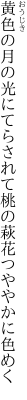 黄色の月の光にてらされて 桃の萩花つややかに色めく