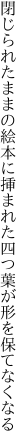 閉じられたままの絵本に挿まれた 四つ葉が形を保てなくなる