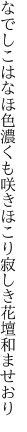 なでしこはなほ色濃くも咲きほこり 寂しき花壇和ませおり