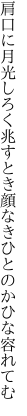 肩口に月光しろく兆すとき 顔なきひとのかひな容れてむ