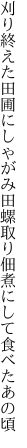 刈り終えた田圃にしゃがみ田螺取り 佃煮にして食べたあの頃