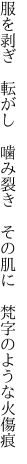 服を剥ぎ 転がし 噛み裂き その肌に  梵字のような火傷痕