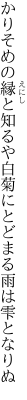 かりそめの縁と知るや白菊に とどまる雨は雫となりぬ