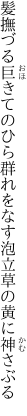 髪撫づる巨きてのひら群れをなす 泡立草の黄に神さぶる