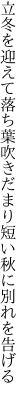 立冬を迎えて落ち葉吹きだまり 短い秋に別れを告げる