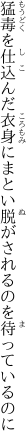 猛毒を仕込んだ衣身にまとい 脱がされるのを待っているのに