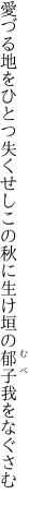 愛づる地をひとつ失くせしこの秋に 生け垣の郁子我をなぐさむ