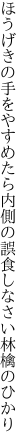 ほうげきの手をやすめたら 内側の誤食しなさい林檎のひかり