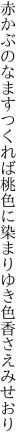 赤かぶのなますつくれば桃色に 染まりゆき色香さえみせおり