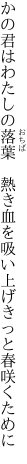 かの君はわたしの落葉　熱き血を 吸い上げきっと春咲くために