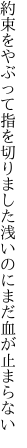 約束をやぶって指を切りました 浅いのにまだ血が止まらない