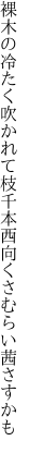 裸木の冷たく吹かれて枝千本 西向くさむらい茜さすかも