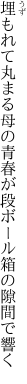 埋もれて丸まる母の青春が 段ボール箱の隙間で響く