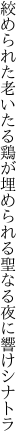 絞められた老いたる鶏が埋められる 聖なる夜に響けシナトラ