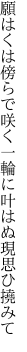 願はくは傍らで咲く一輪に 叶はぬ現思ひ撓みて