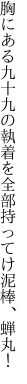 胸にある九十九の執着を 全部持ってけ泥棒、蝉丸！