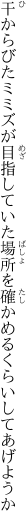 干からびたミミズが目指していた場所を 確かめるくらいしてあげようか