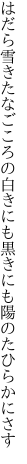 はだら雪きたなごころの白きにも 黒きにも陽のたひらかにさす