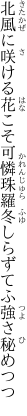 北風に咲ける花こそ可憐珠羅 冬しらずてふ強さ秘めつつ