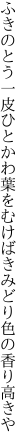 ふきのとう一皮ひとかわ葉をむけば きみどり色の香り高きや