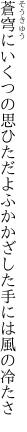 蒼穹にいくつの思ひただよふか かざした手には風の冷たさ