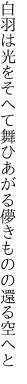 白羽は光をそへて舞ひあがる 儚きものの還る空へと