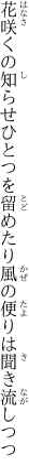 花咲くの知らせひとつを留めたり 風の便りは聞き流しつつ