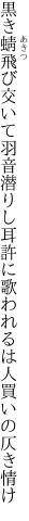 黒き蜻飛び交いて羽音潜りし耳許に 歌われるは人買いの仄き情け
