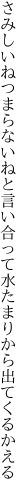 さみしいねつまらないねと言い合って 水たまりから出てくるかえる