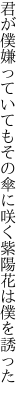 君が僕嫌っていてもその傘に 咲く紫陽花は僕を誘った